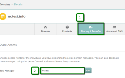 Granting Delegate Access to your Namecheap Domain